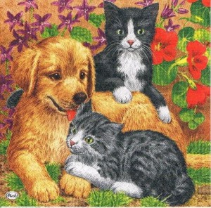 Serwetka decoupage 33x33 cm - koty i pies